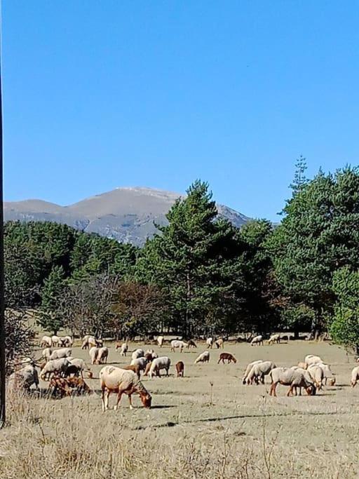 Montagne, Mer Et Verdon Séranon Εξωτερικό φωτογραφία