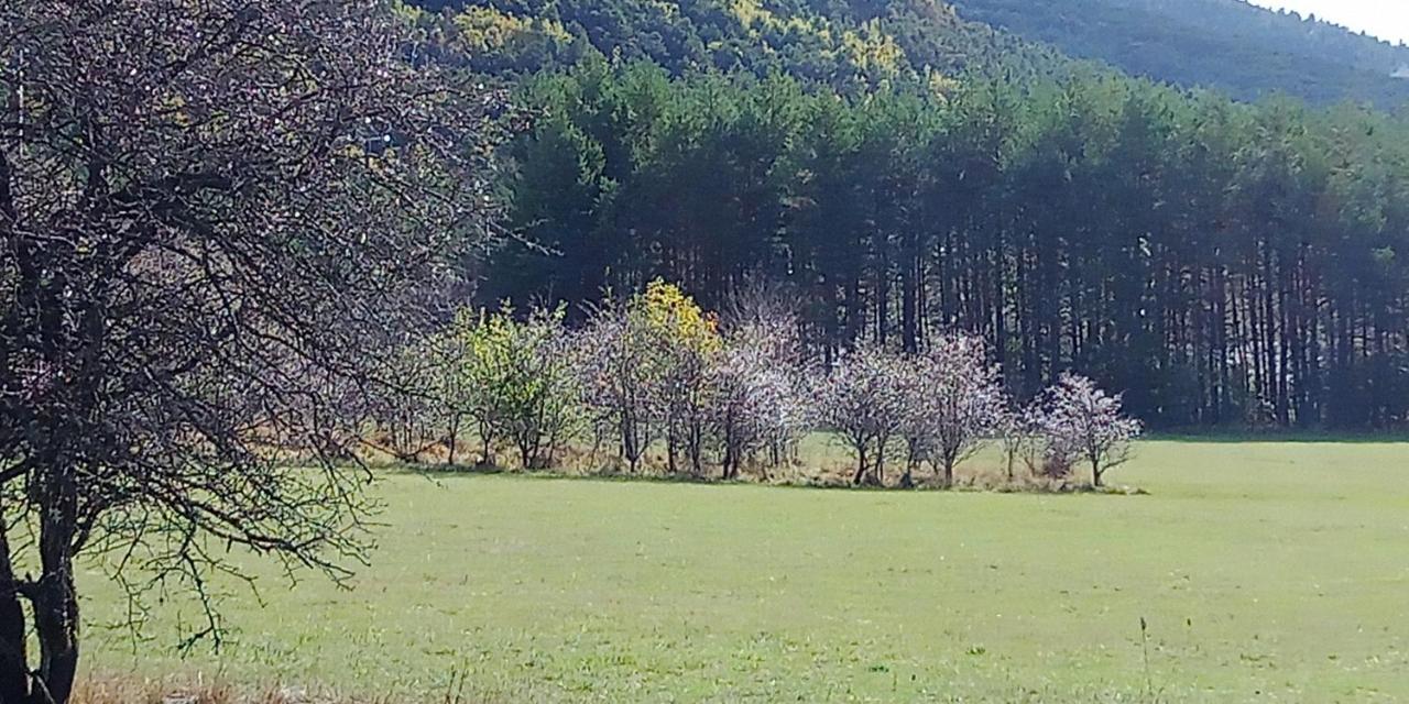 Montagne, Mer Et Verdon Séranon Εξωτερικό φωτογραφία