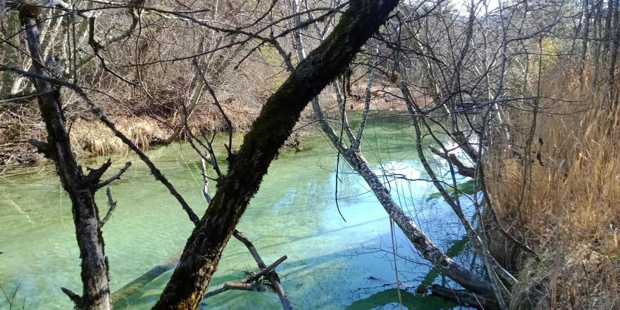 Montagne, Mer Et Verdon Séranon Εξωτερικό φωτογραφία