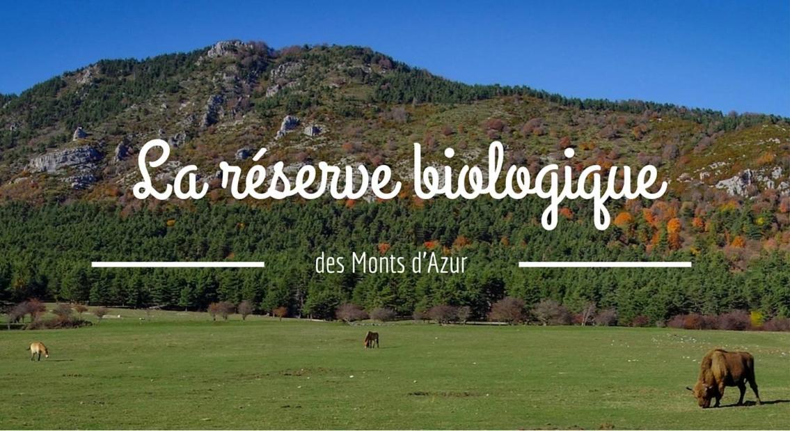 Montagne, Mer Et Verdon Séranon Εξωτερικό φωτογραφία